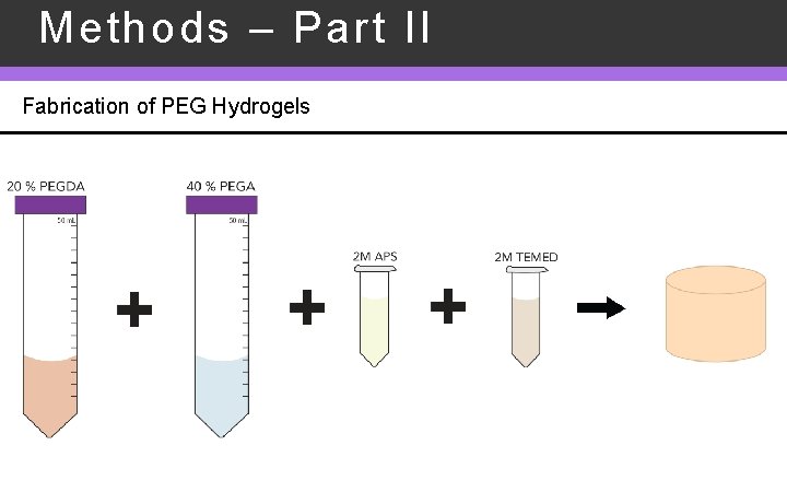 Methods – Part II Fabrication of PEG Hydrogels 