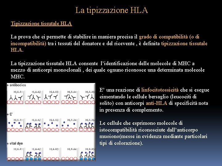 La tipizzazione HLA Tipizzazione tissutale HLA La prova che ci permette di stabilire in