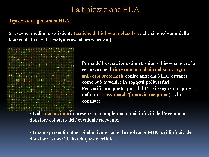 La tipizzazione HLA Tipizzazione genomica HLA: Si esegue mediante sofisticate tecniche di biologia molecolare,