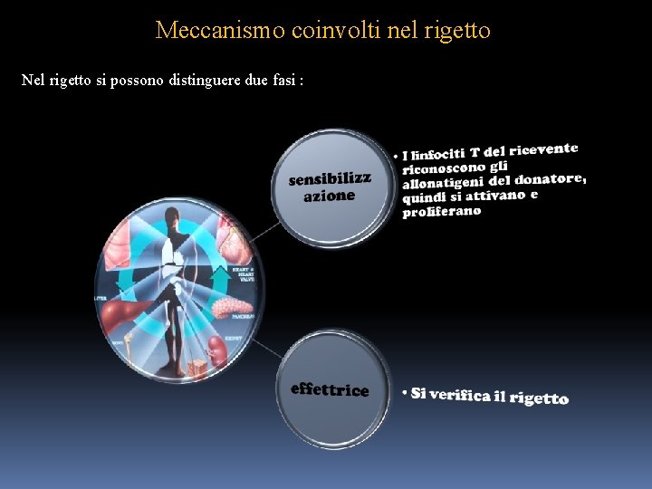 Meccanismo coinvolti nel rigetto Nel rigetto si possono distinguere due fasi : 