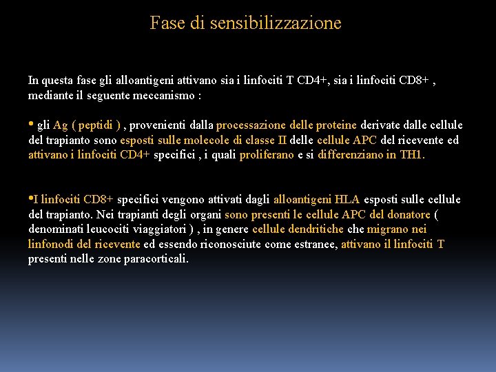 Fase di sensibilizzazione In questa fase gli alloantigeni attivano sia i linfociti T CD
