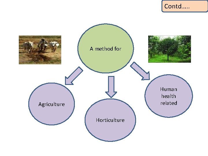 Contd…. . A method for Human health related Agriculture Horticulture 