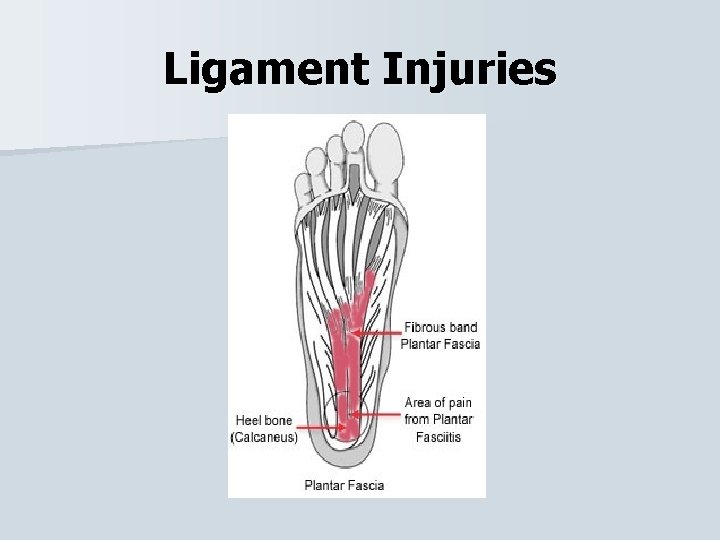 Ligament Injuries 
