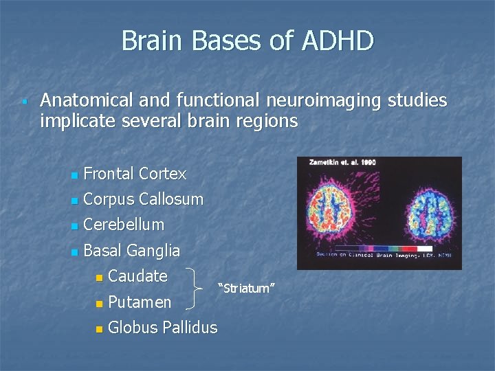 Brain Bases of ADHD § Anatomical and functional neuroimaging studies implicate several brain regions
