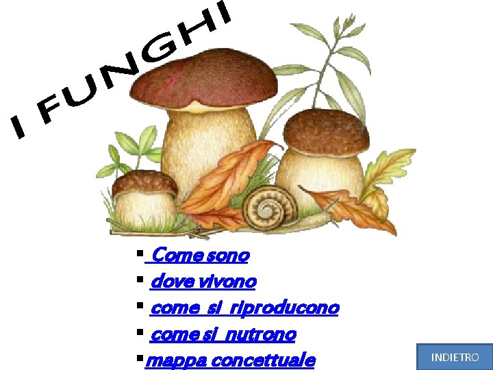 § Come sono § dove vivono § come si riproducono § come si nutrono