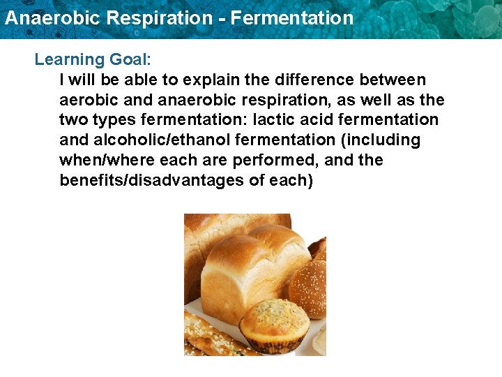 Anaerobic Respiration - Fermentation Learning Goal: I will be able to explain the difference