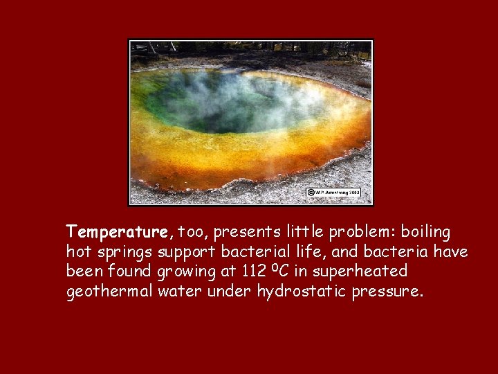 Temperature, too, presents little problem: boiling hot springs support bacterial life, and bacteria have Temperature, too, presents little problem: boiling hot springs support bacterial life, and bacteria have
