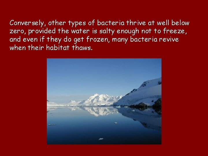 Conversely, other types of bacteria thrive at well below zero, provided the water is Conversely, other types of bacteria thrive at well below zero, provided the water is