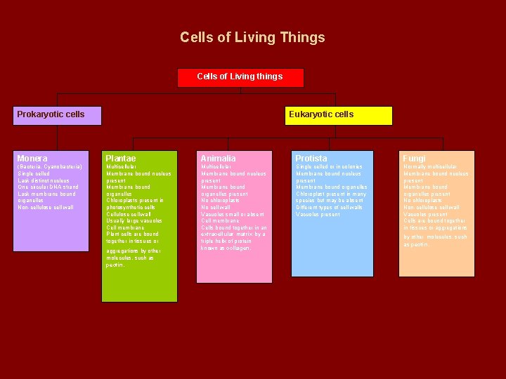 Cells of Living Things Cells of Living things Prokaryotic cells Eukaryotic cells Monera Plantae Cells of Living Things Cells of Living things Prokaryotic cells Eukaryotic cells Monera Plantae