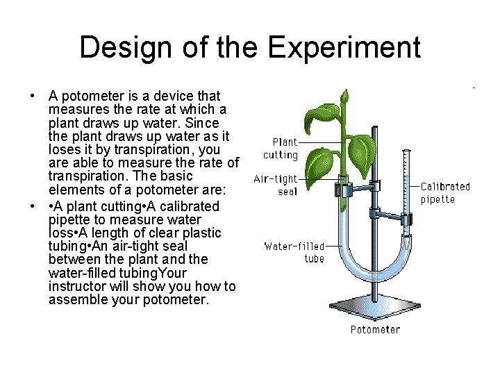 Design of the Experiment • A potometer is a device that measures the rate