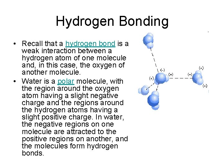 Hydrogen Bonding • Recall that a hydrogen bond is a weak interaction between a