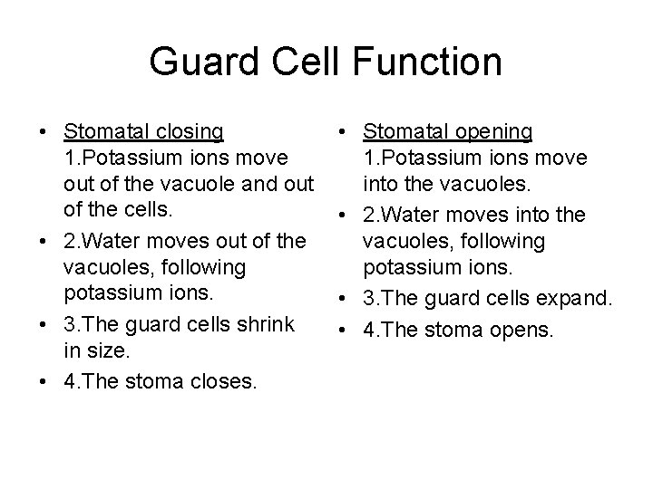 Guard Cell Function • Stomatal closing 1. Potassium ions move out of the vacuole