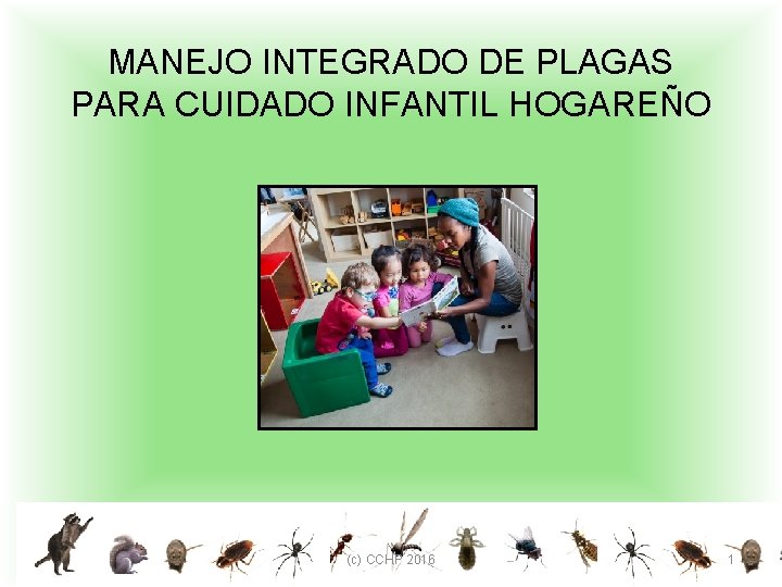 MANEJO INTEGRADO DE PLAGAS PARA CUIDADO INFANTIL HOGAREÑO (c) CCHP 2016 1 
