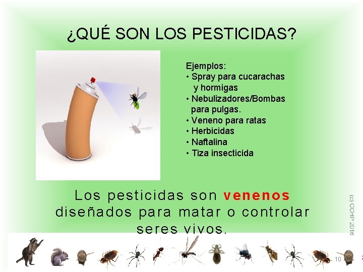 ¿QUÉ SON LOS PESTICIDAS? Ejemplos: • Spray para cucarachas y hormigas • Nebulizadores/Bombas para