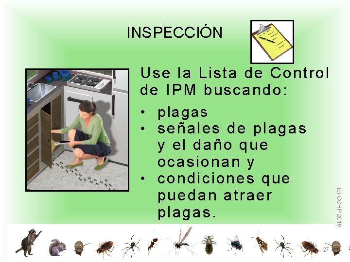 INSPECCIÓN Use la Lista de Control de IPM buscando : • plagas • señales