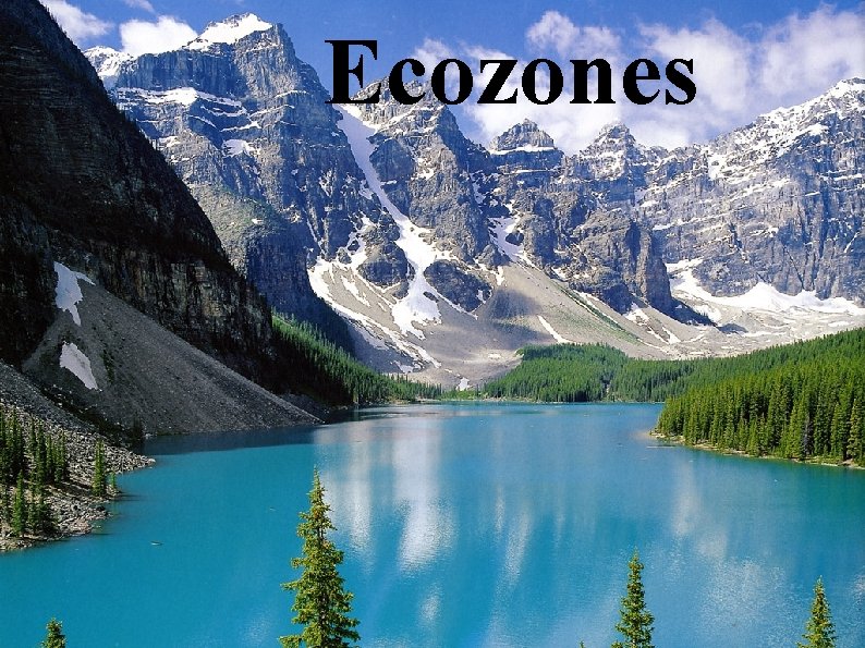 Ecozones 