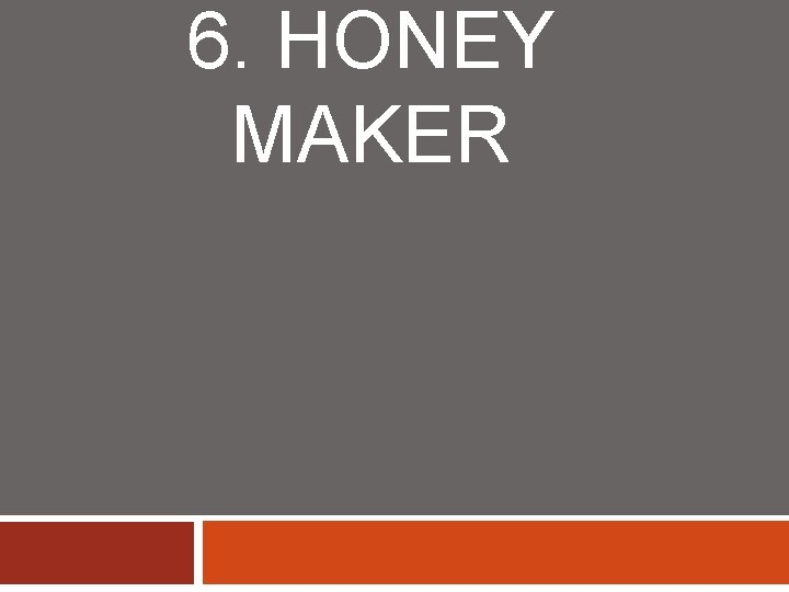 6. HONEY MAKER 