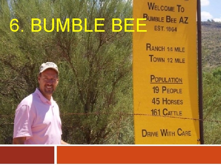 6. BUMBLE BEE 