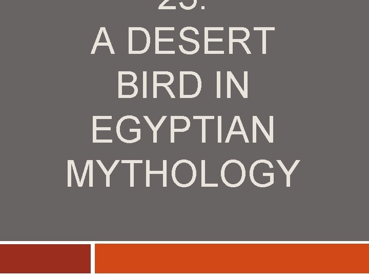 23. A DESERT BIRD IN EGYPTIAN MYTHOLOGY 