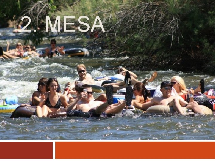 2. MESA 