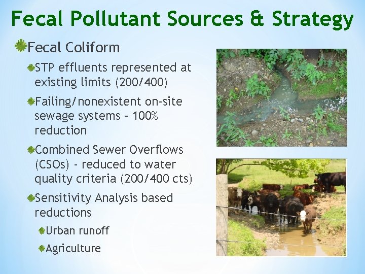 Fecal Pollutant Sources & Strategy Fecal Coliform STP effluents represented at existing limits (200/400)