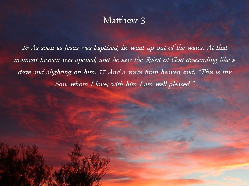 Matthew 3 16 As soon as Jesus was baptized, he went up out of