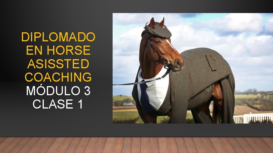 DIPLOMADO EN HORSE ASISSTED COACHING MÓDULO 3 CLASE 1 DIPLOMADO EN HORSE ASISSTED COACHING MÓDULO 3 CLASE 1