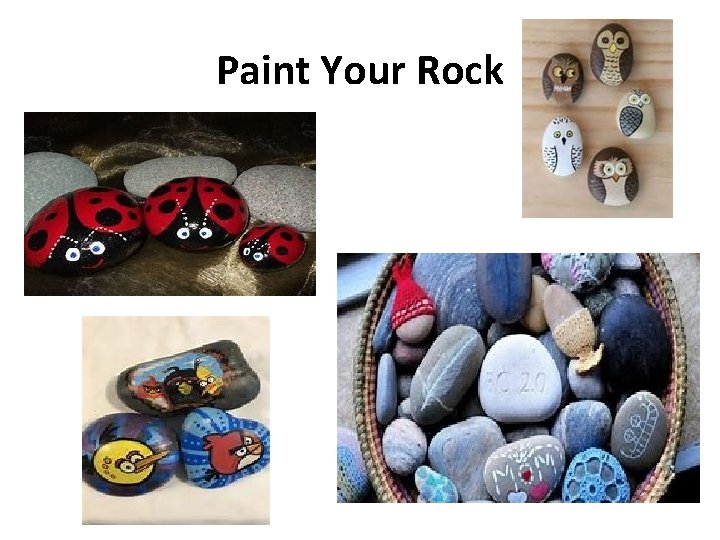 Paint Your Rock 