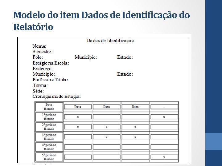 Modelo do item Dados de Identificação do Relatório 