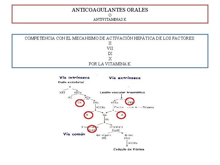 ANTICOAGULANTES ORALES O ANTIVITAMINAS K COMPETENCIA CON EL MECANISMO DE ACTIVACIÓN HEPÁTICA DE LOS