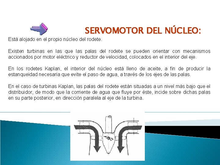 SERVOMOTOR DEL NÚCLEO: Está alojado en el propio núcleo del rodete. Existen turbinas en