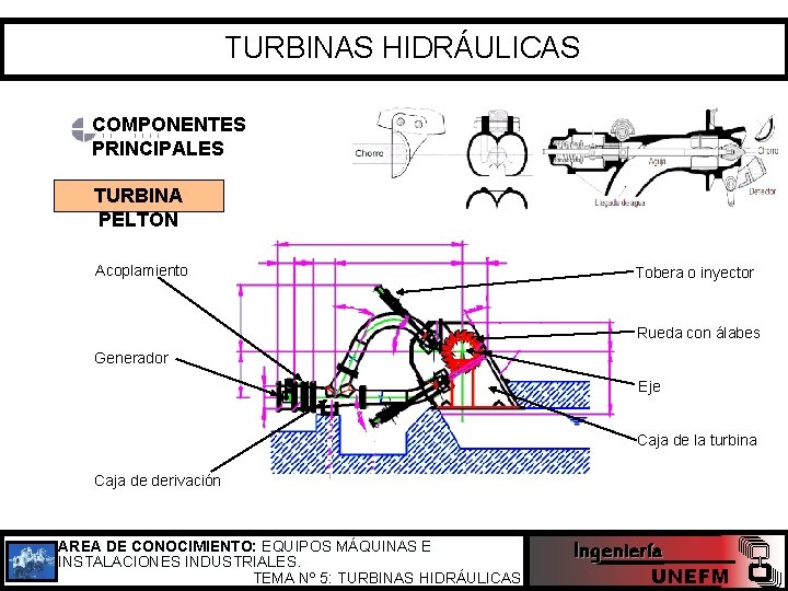 TURBINAS HIDRÁULICAS COMPONENTES PRINCIPALES TURBINA PELTON Acoplamiento Tobera o inyector Rueda con álabes Generador