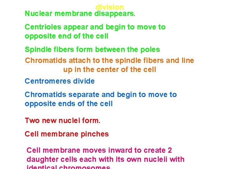division Nuclear membrane disappears. Centrioles appear and begin to move to opposite end of