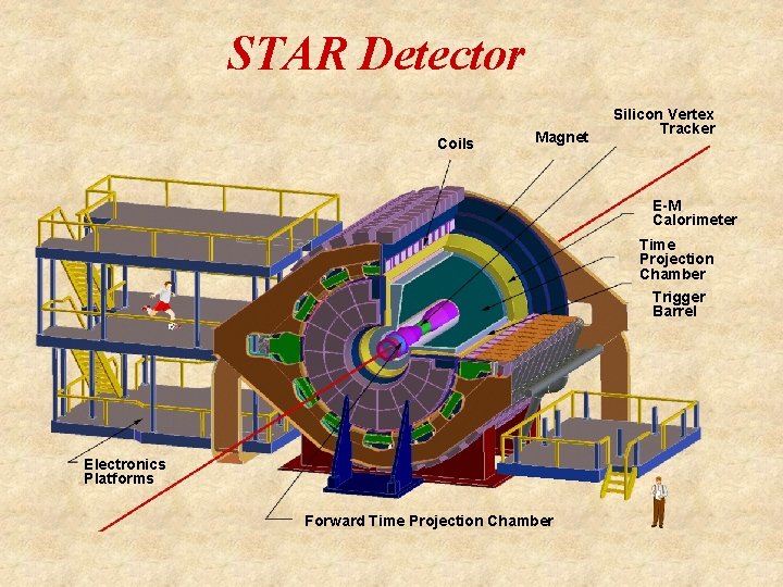 STAR Detector Coils Magnet Silicon Vertex Tracker E-M Calorimeter Time Projection Chamber Trigger Barrel