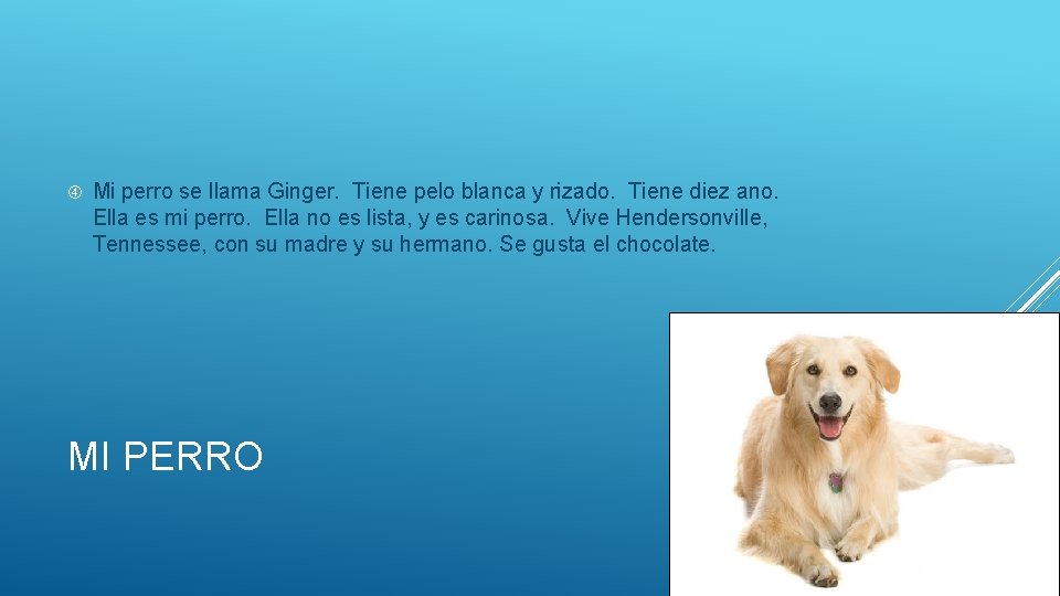  Mi perro se llama Ginger. Tiene pelo blanca y rizado. Tiene diez ano.