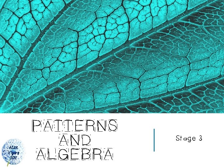 Alice Vigors 2017 PATTERNS AND ALGEBRA Stage 3 