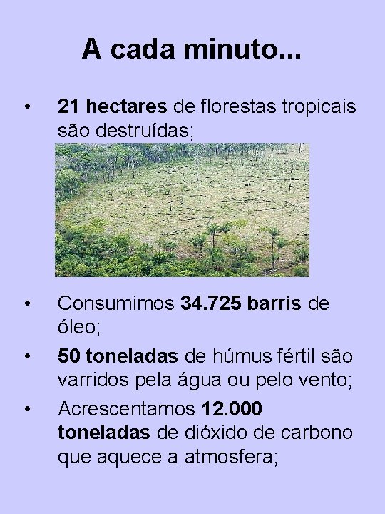 A cada minuto. . . • 21 hectares de florestas tropicais são destruídas; •