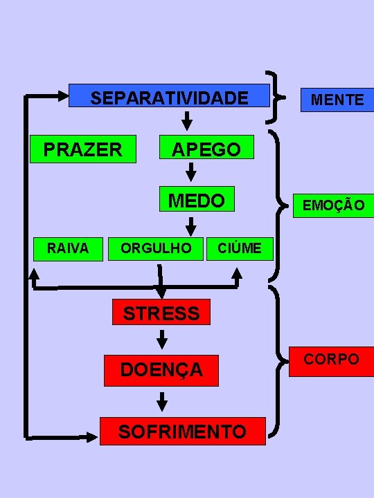 SEPARATIVIDADE PRAZER APEGO MEDO RAIVA MENTE ORGULHO EMOÇÃO CIÚME STRESS DOENÇA SOFRIMENTO CORPO 