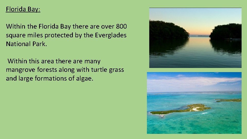 Florida Bay: Within the Florida Bay there are over 800 square miles protected by