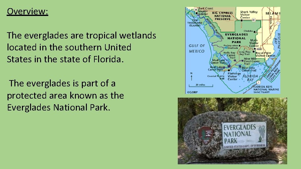 Overview: The everglades are tropical wetlands located in the southern United States in the