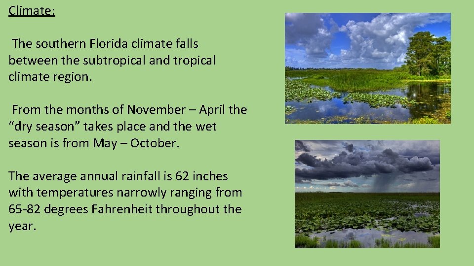 Climate: The southern Florida climate falls between the subtropical and tropical climate region. From