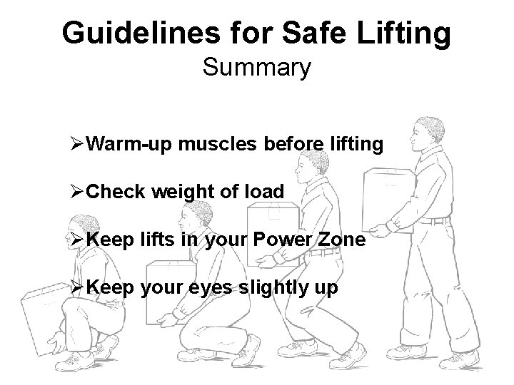 Guidelines for Safe Lifting Summary ØWarm-up muscles before lifting ØCheck weight of load ØKeep