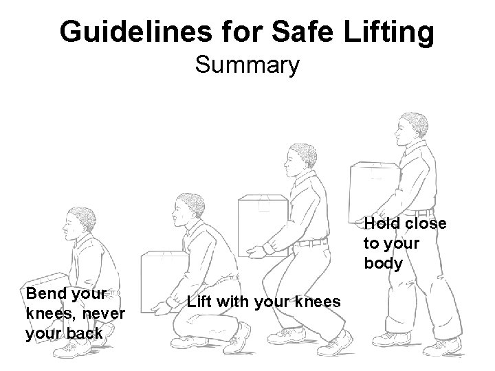 Guidelines for Safe Lifting Summary Hold close to your body Bend your knees, never