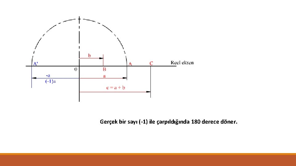 Gerçek bir sayı (-1) ile çarpıldığında 180 derece döner. 