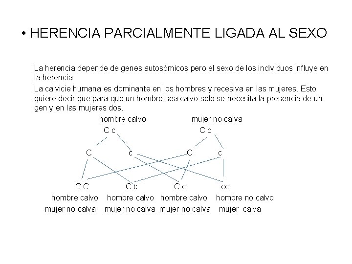  • HERENCIA PARCIALMENTE LIGADA AL SEXO La herencia depende de genes autosómicos pero