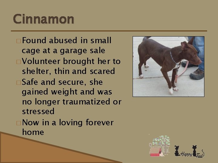 Cinnamon � Found abused in small cage at a garage sale � Volunteer brought