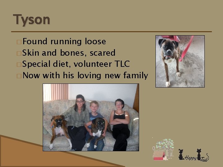 Tyson � Found running loose � Skin and bones, scared � Special diet, volunteer