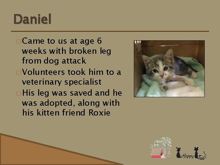 Daniel � Came to us at age 6 weeks with broken leg from dog