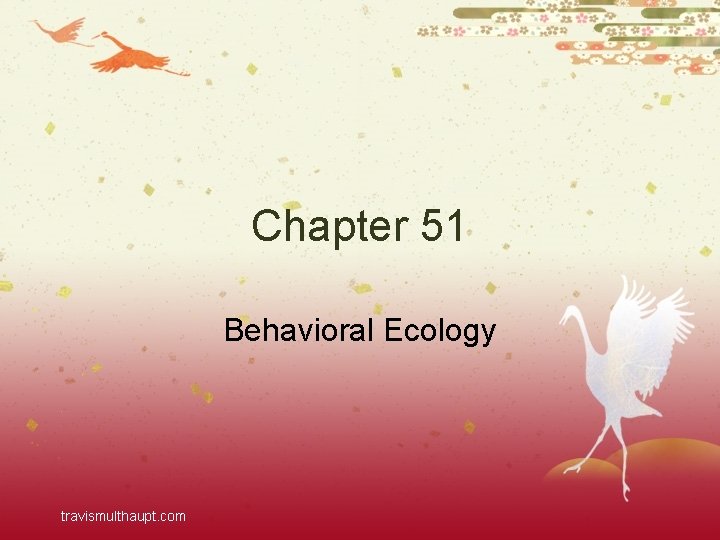 Chapter 51 Behavioral Ecology travismulthaupt. com 