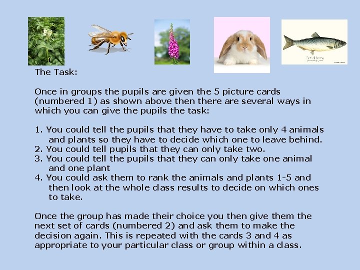 The Task: Once in groups the pupils are given the 5 picture cards (numbered